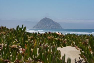 Morro Strand State Beach: View of the Morro Rock