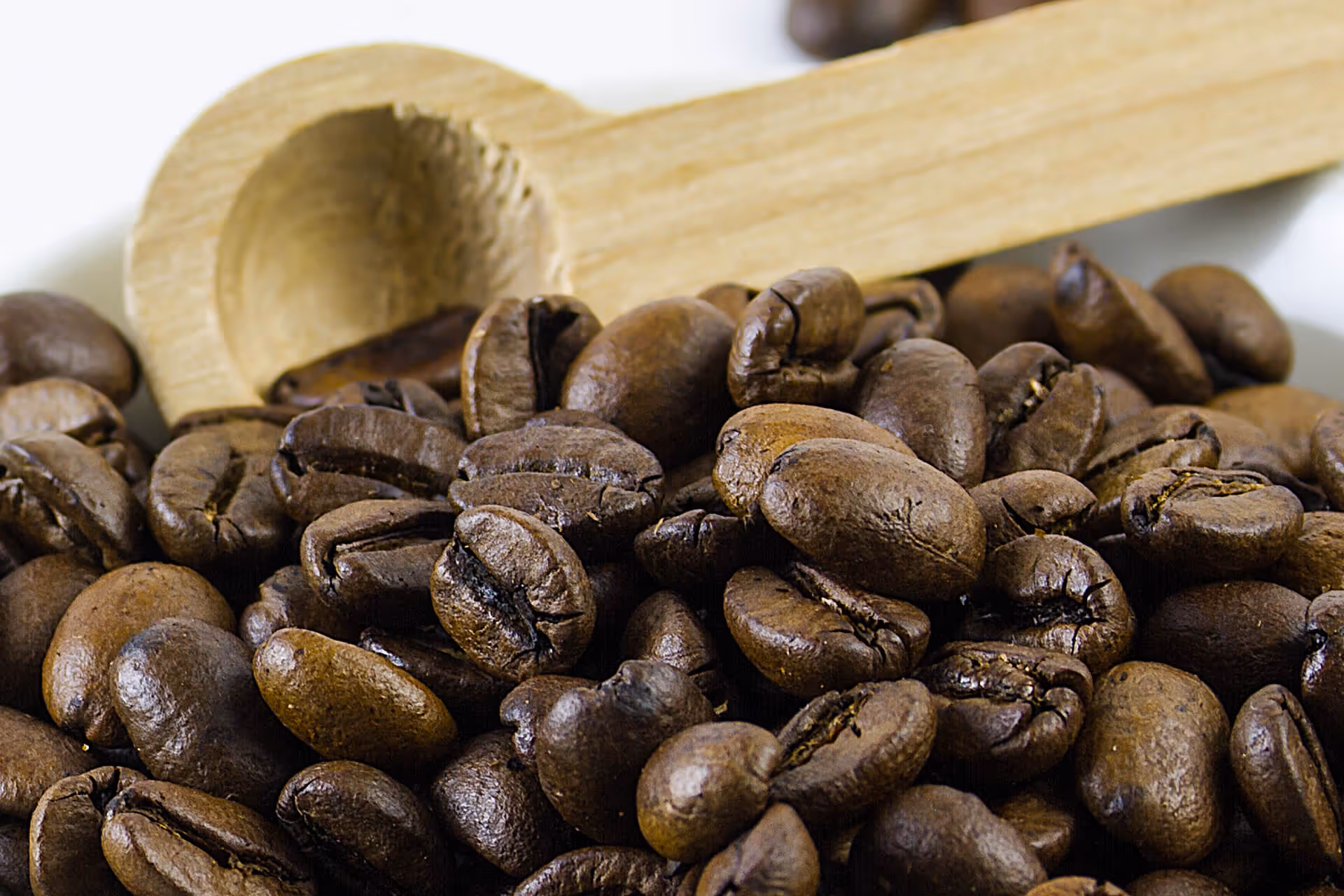 macro photography of coffee beans