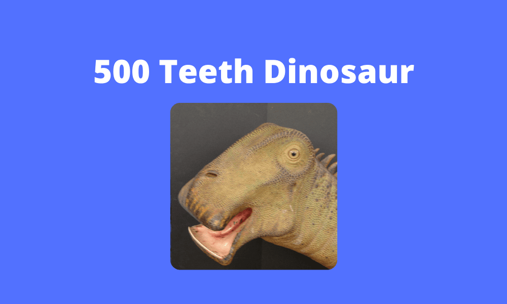 500 Teeth Dinosaur Largest Mouth Herbivore is Nigersaurus
