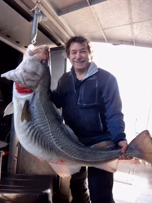 Cod Skrei Season 005