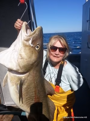 Cod Skrei Season 008