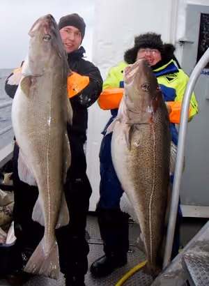 Cod Skrei Season 002