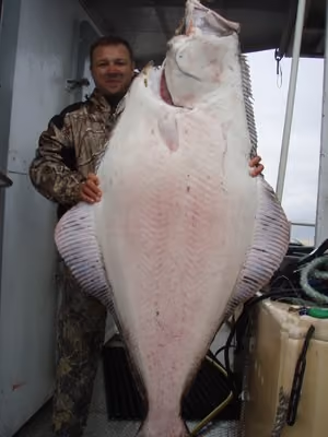 Cod Skrei Season 003