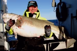 Cod Skrei Season 004