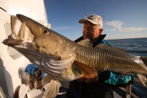 Deep Sea Fishing 007