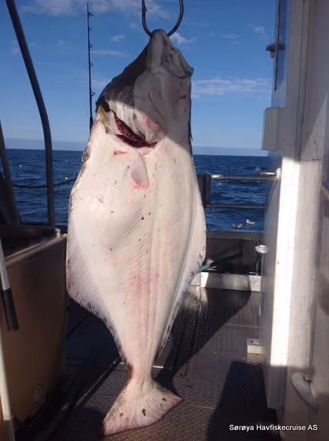 Deep Sea Fishing 016