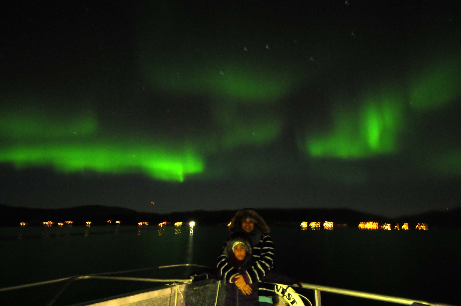 Privat nordlys- og middagscruise