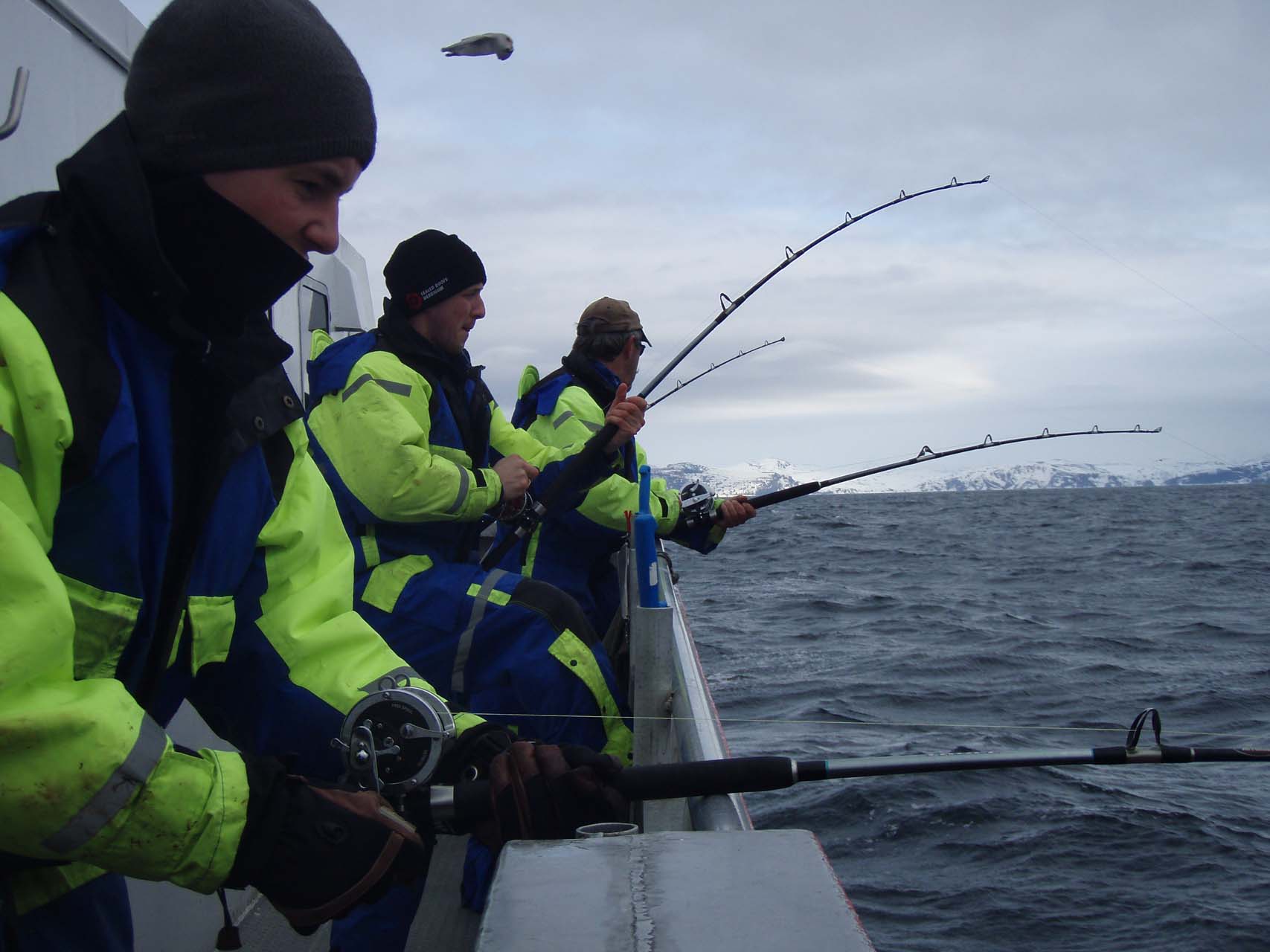 Arctic Fishing Tours by Boat in Tromsø
