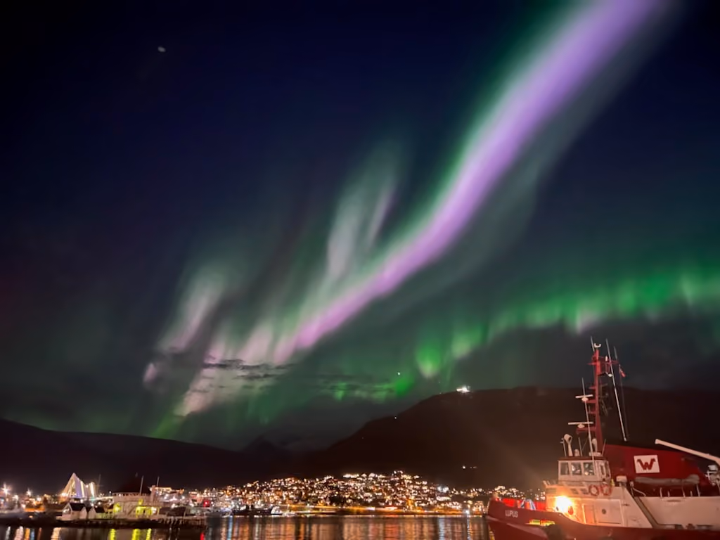 Nordlys og middag 04