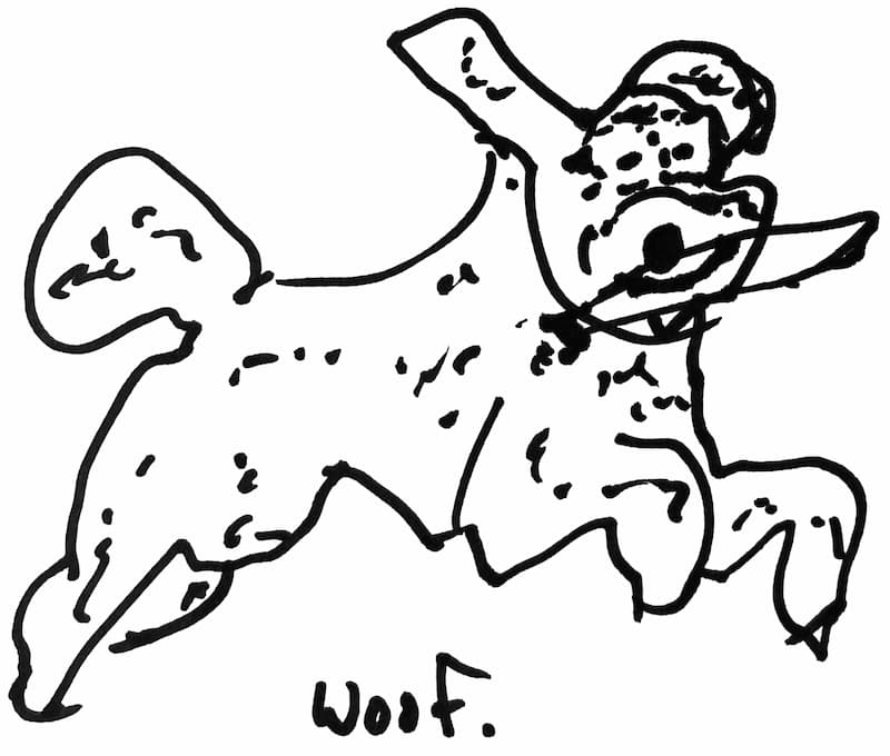 woof doodle