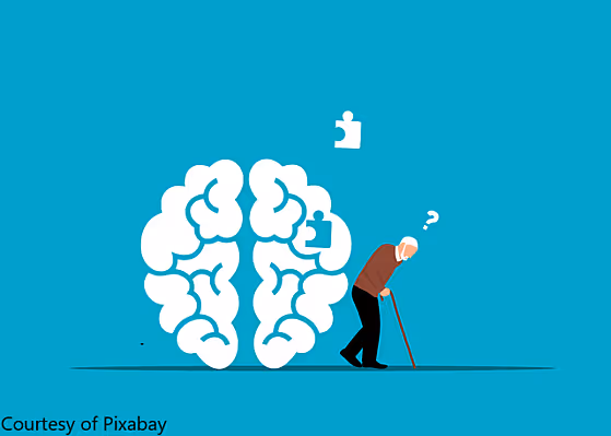 brain-gf9034b7ad_640-1