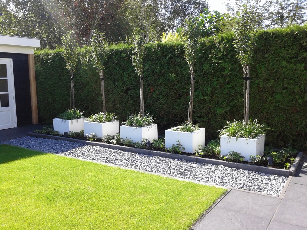 Bomen in de tuin
