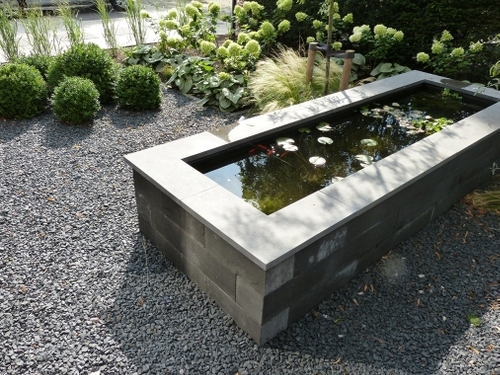 Jaarrond bloei en groenblijvende elementen rondom deze strakke vijver.