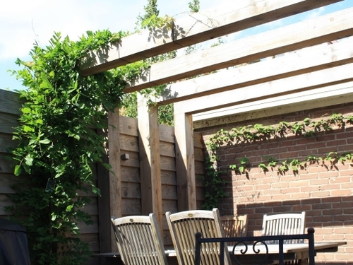 Een blauwe regen draait zich om de robuuste pergola heen.