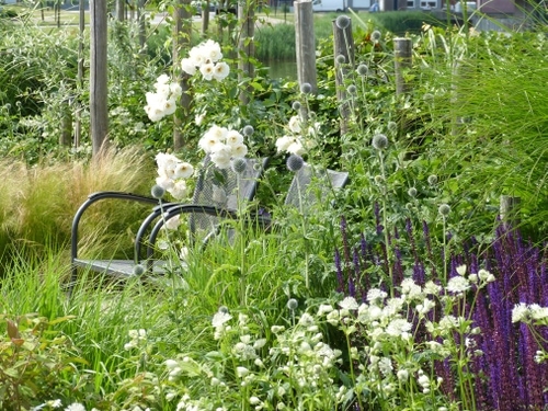 Een duintuin in Heemskerk
