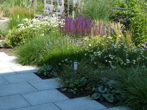 Speelse tegels met een border met een mooie opbouw en bloeispreiding.