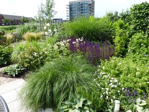 Er mocht vooral veel beplanting in de tuin komen.