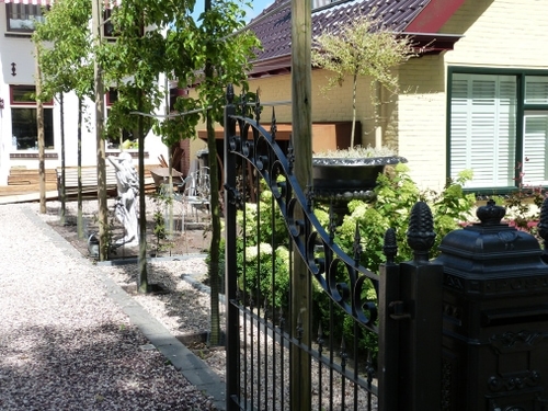 Lei bomen langs de oprijlaan.