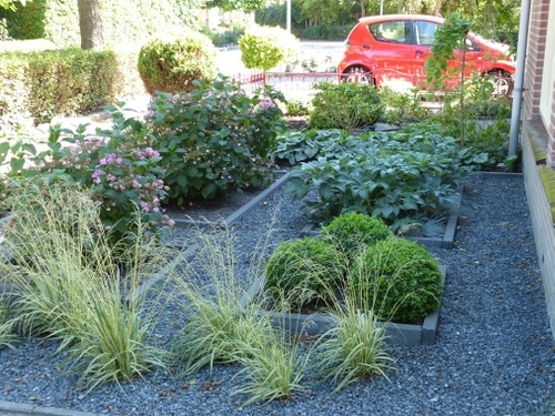 Een onderhoudsarme voortuin in Waarland
