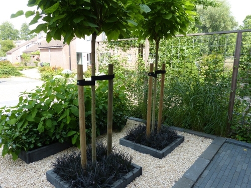 Vanuit de keuken is het uitzicht fraai terwijl de auto uit het zicht op de optit staat.