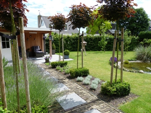 Bolbomen langs het paadje van klinkers met tegels.