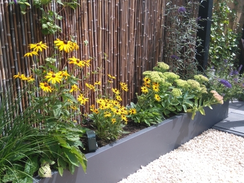 De antraciet stuuk-look verhoogde borders in deze daktuin zijn rijkelijk gevuld met kleurrijke bloemen.