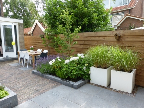 Verhoogde borders met beplanting delen de tuin in tweeën.