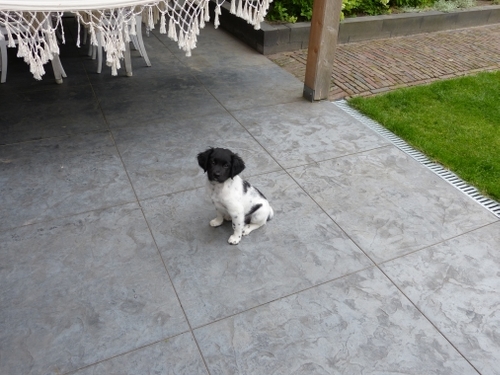 Tegels of niet.. dit is beton met een ingeslepen tegelmotief.