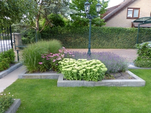 Licht verhoogde border met siergrassen, lavendel en vaste planten.