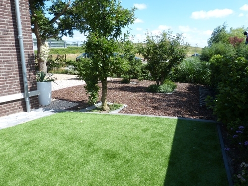 Een boomgaard op eigen terrein.