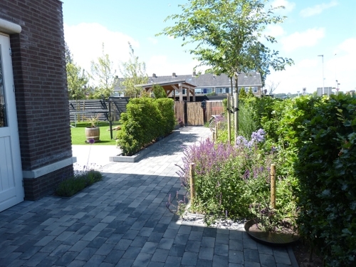 Een pad loopt van de voordeur naar de carport en de fietsen.
