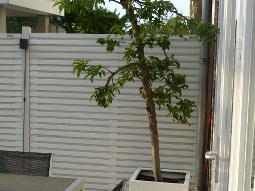 De peer in de bak mocht blijven.