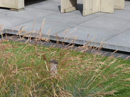 Het verhoogde terras van Schellevis tegels.