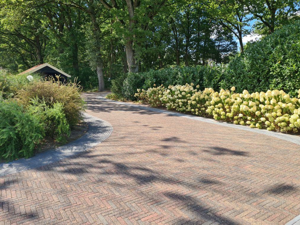 Pluimhortensia's langs de oprit als groots gebaar