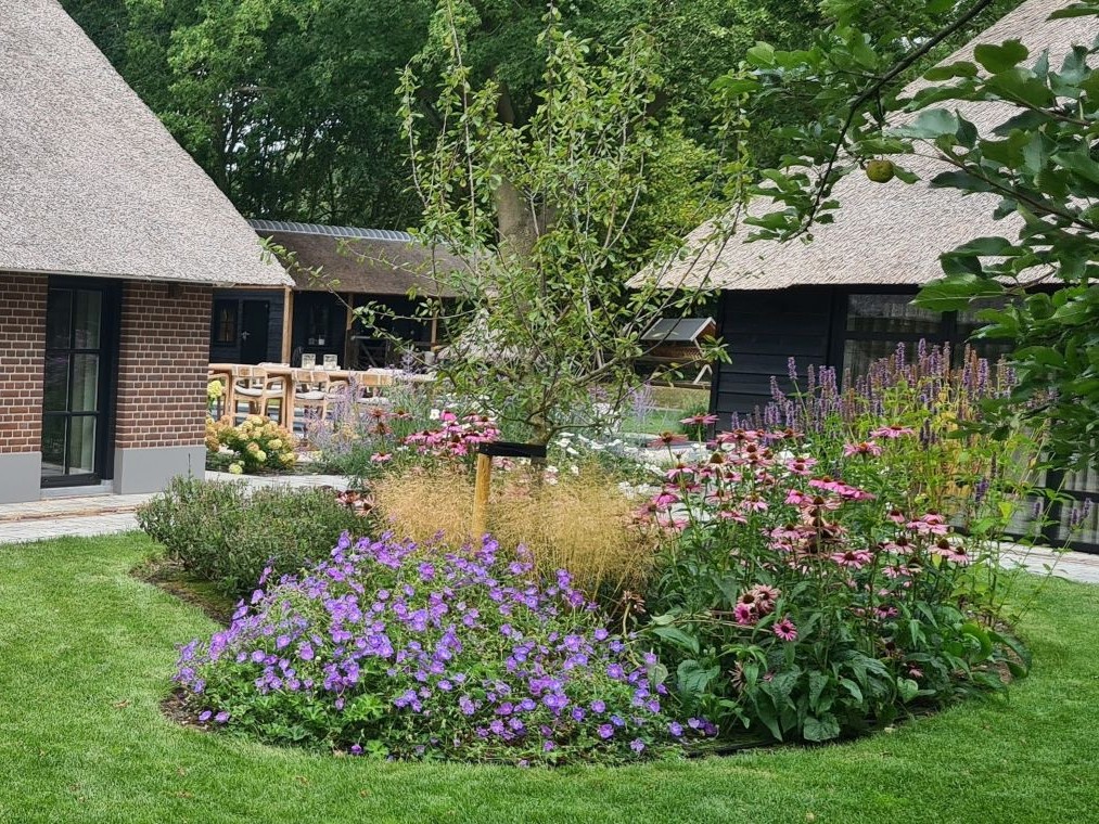 Vaste plantenborder in een landelijke omgeving