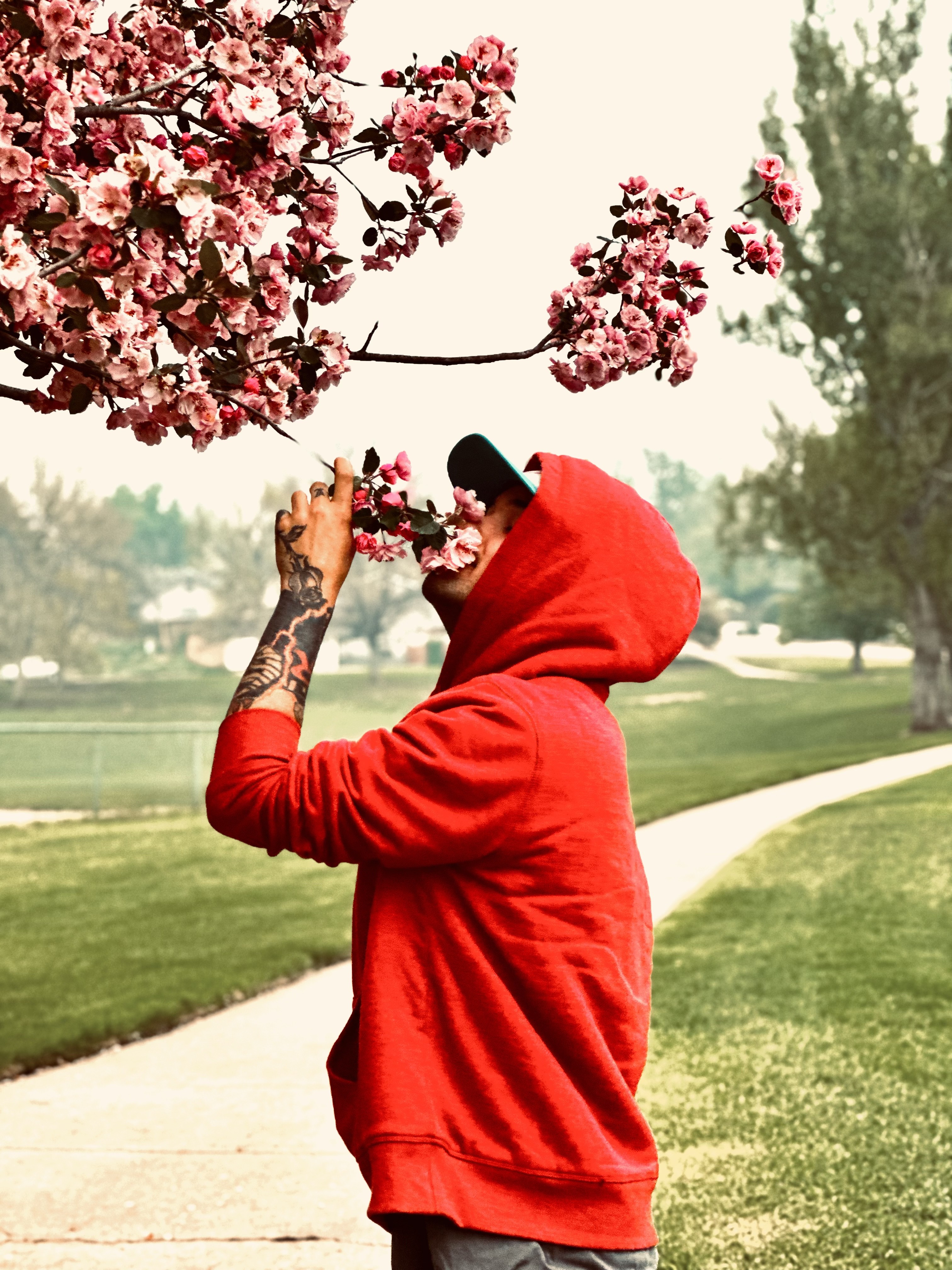Christopher smelling cherry blossom