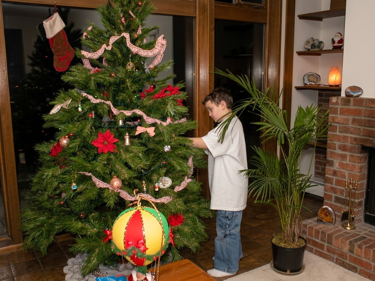 Chris decorate our Xmas tree on Diamond Drive.
