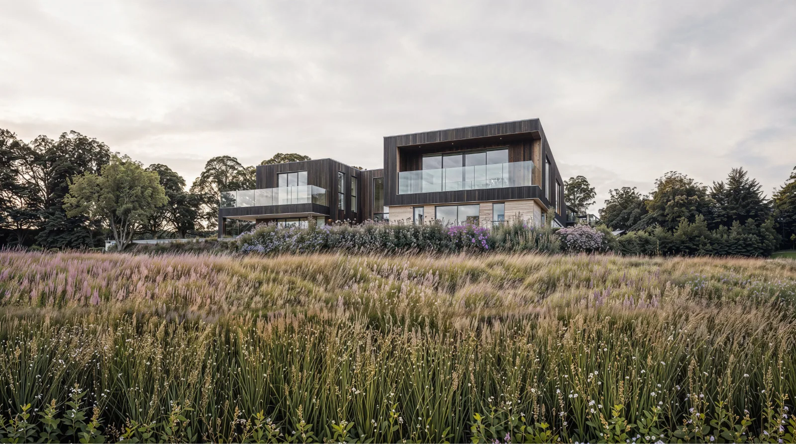House seen across a wildflower meadow in daylight