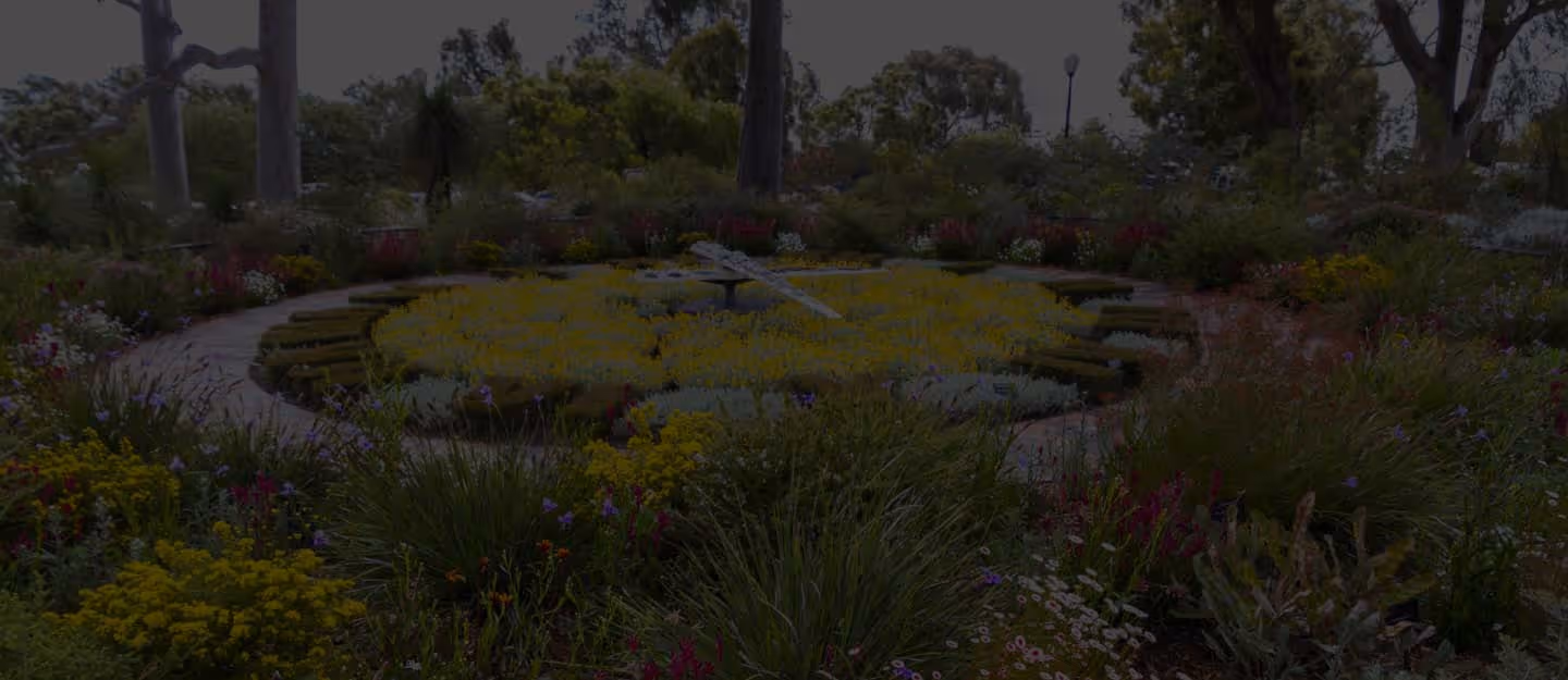Landscapers raking soil and positioning plants in garden beds under open sky.