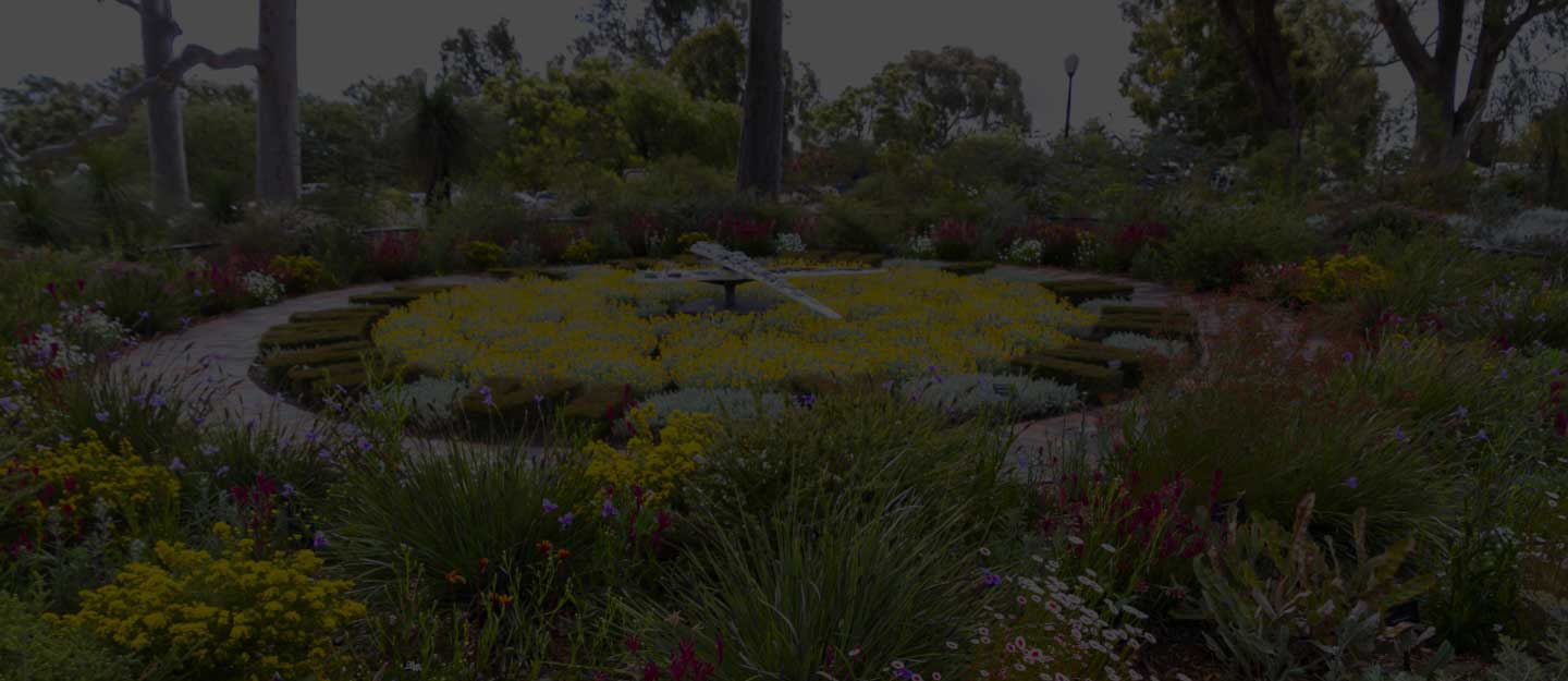 Landscapers raking soil and positioning plants in garden beds under open sky.