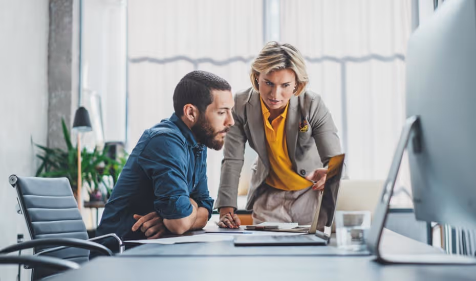 Using Xero in your business