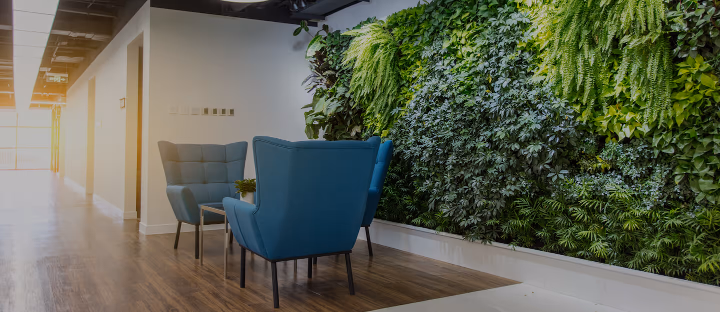 Three blue armchairs around a coffee table in a modern office against a vertical plant wall 