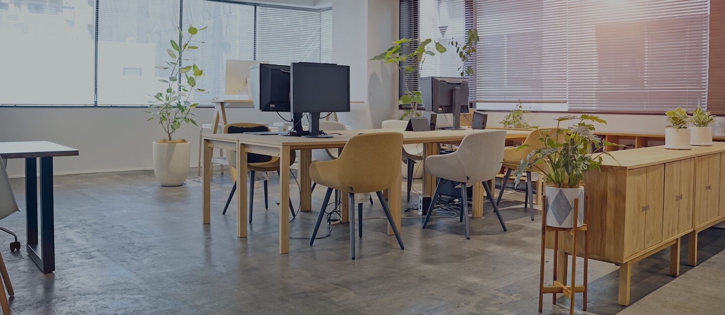 Modern office interior with a desk, computers, and potted plants