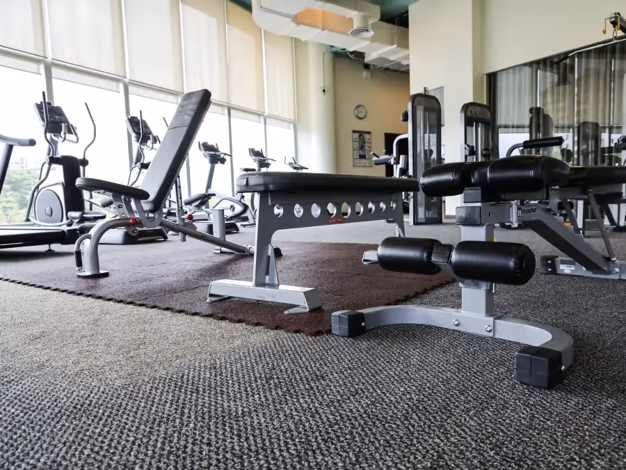 Modern hotel gym with treadmills and weight machines facing floor-to-ceiling windows with a bright city view.