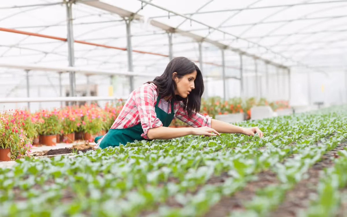 A woman tending to her seedlings inside a greenhouse