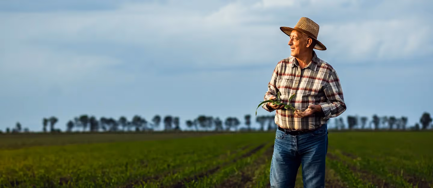 Primary producer reviewing farm finances and crop performance in a rural field environment.