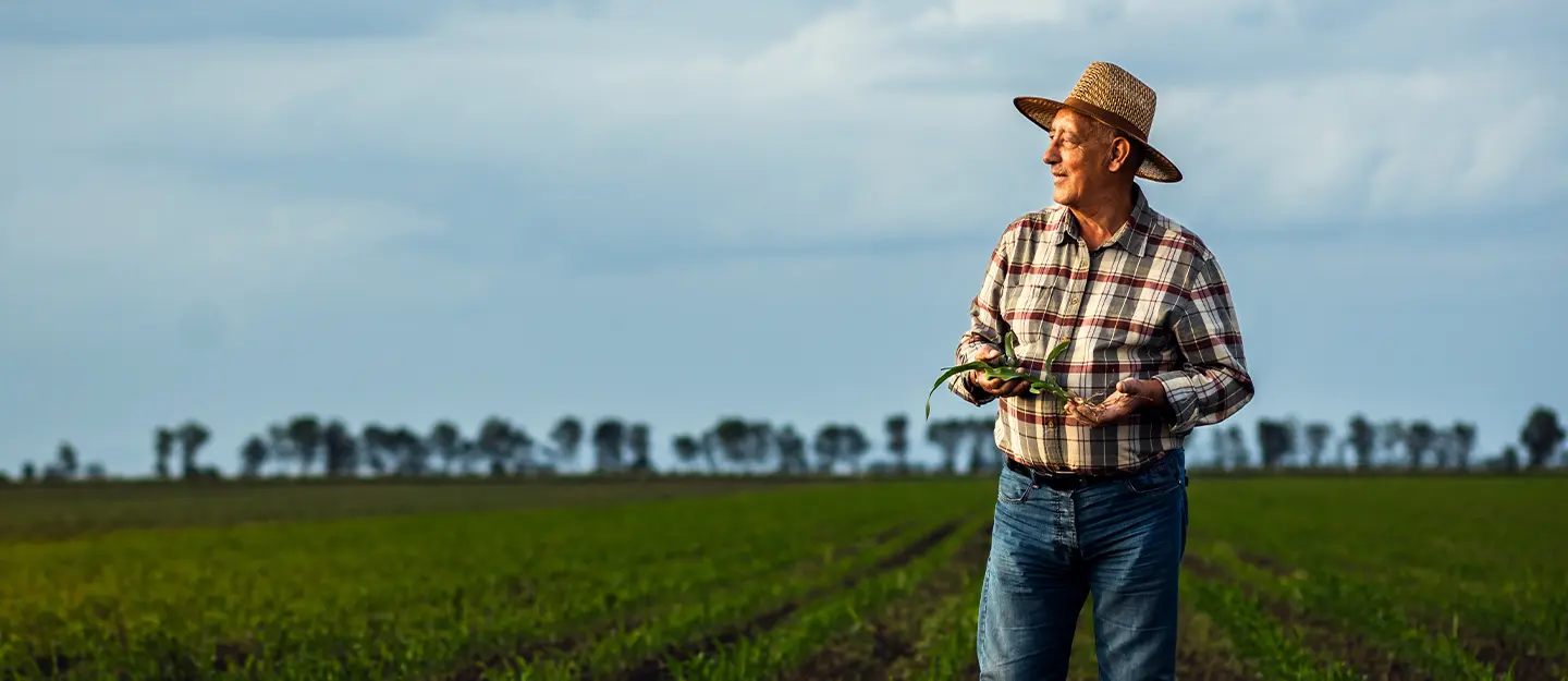 Primary producer reviewing farm finances and crop performance in a rural field environment.