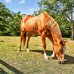 Summerfield senior living of gulfport mississippi 14744 N Swan Rd, Gulfport, MS 39503