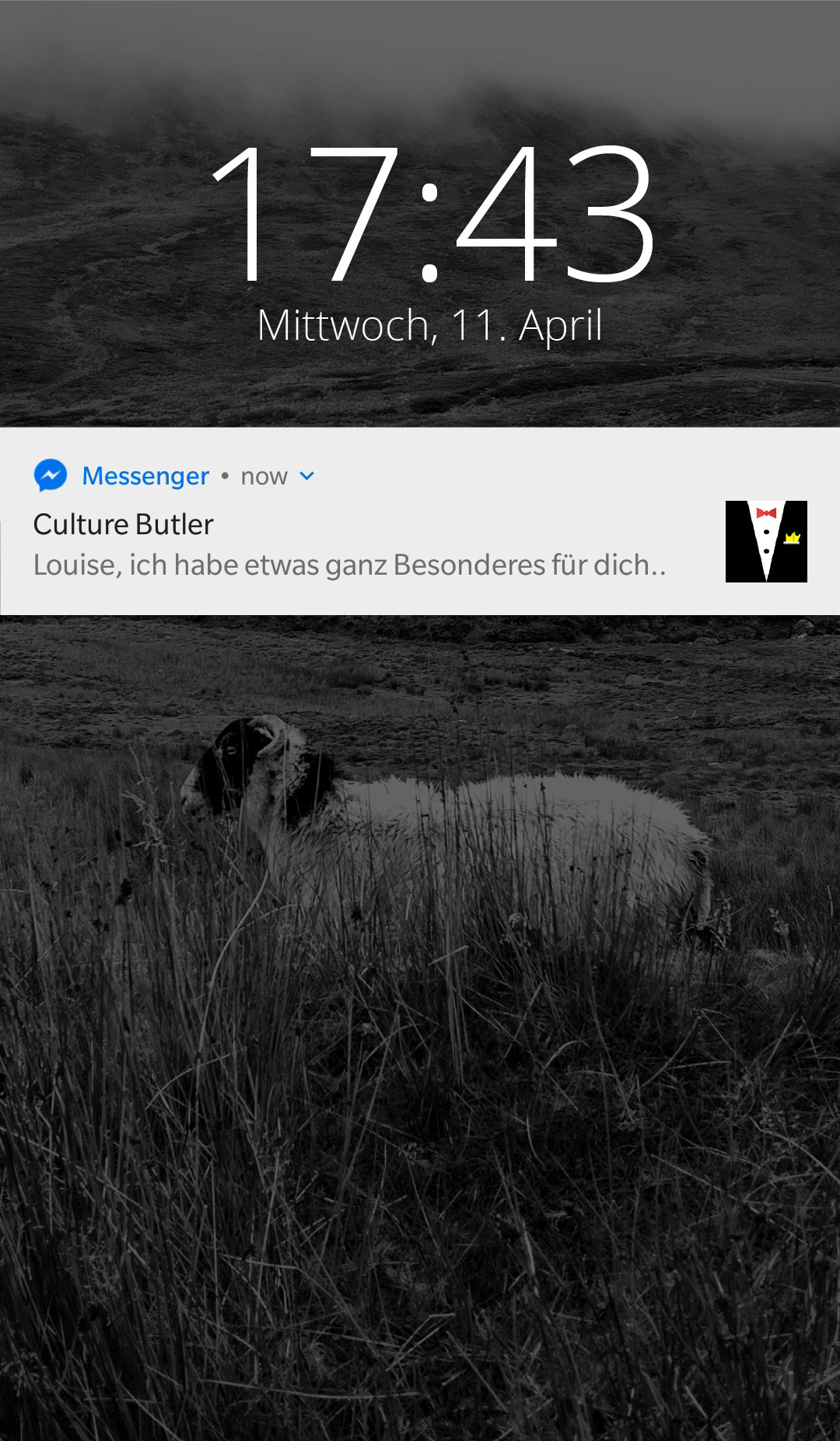 Foto zum Bewerben Ihrer Veranstaltung