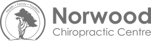 Norwood Chiropractic Centre logo featuring a stylized profile of a human head and spine inside a circle.